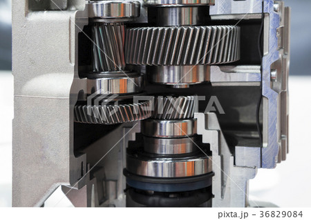 Cross Section of industrial pump Cross Section of industrial pump 36829084