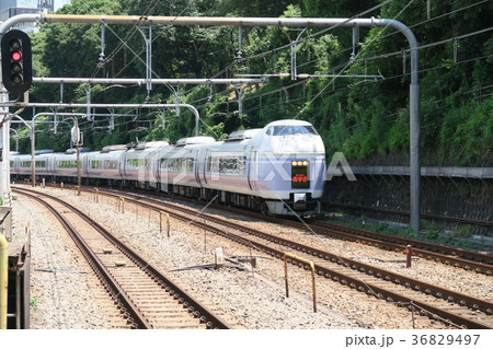 スーパーあずさ スーパーあずさ 36829497