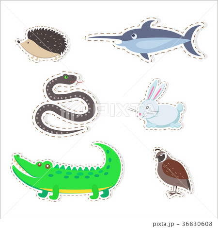 Cute Animals Cartoon Flat Vector Stickers Set Cute Animals Cartoon Flat Vector Stickers Set 36830608