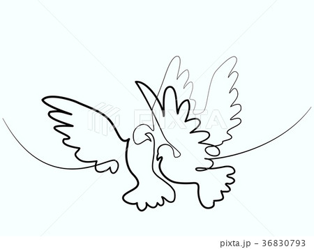 dove Flying two pigeons logo 36830793