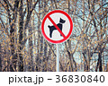 Sign prohibiting dog walking 36830840