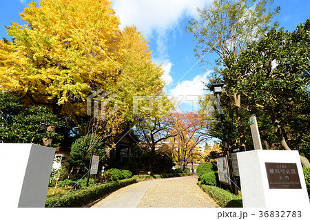 東京都墨田区 横網町公園 東京都墨田区 横網町公園 36832783