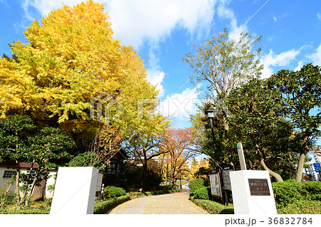 東京都墨田区　横網町公園 36832784