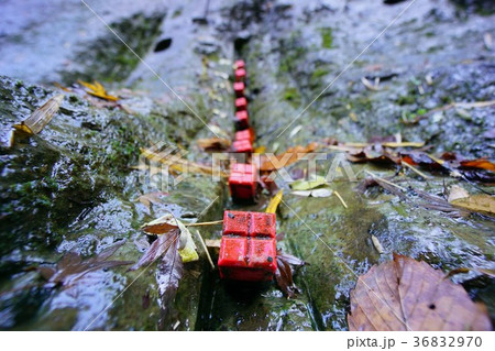 千葉県　チバニアン　地磁気逆転層 36832970