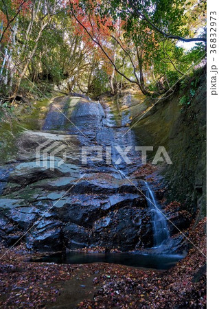 千葉県 チバニアンの滝 地磁気逆転層 千葉県 チバニアンの滝 地磁気逆転層 36832973
