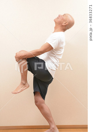 シニアの体操 シニアの体操 36833271