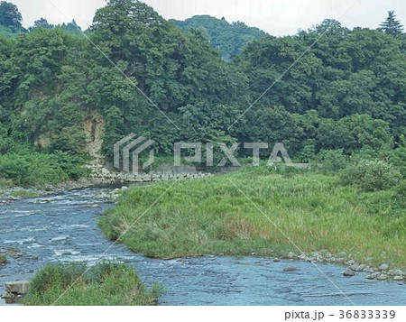 森と川の写真素材 [36833339] - PIXTA