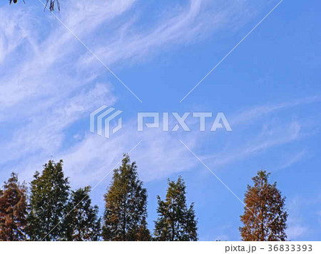 筋雲と空 36833393