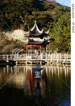 横浜 本牧市民公園 横浜 本牧市民公園 36833689