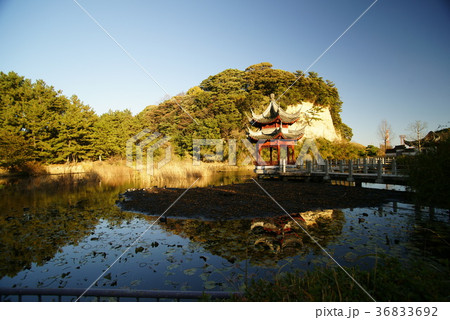 横浜 本牧市民公園 横浜 本牧市民公園 36833692