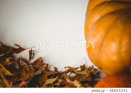 Cropped image of pumpkin by autumn leaves 36835241