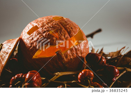 Close up of jack o lantern with small pumpkins and leaves 36835245