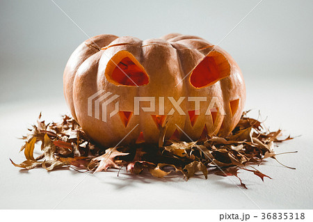 Jack o lantern on leaves over white background Jack o lantern on leaves over white background 36835318
