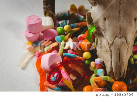 Close up of animal skull with various candies Close up of animal skull with various candies 36835454