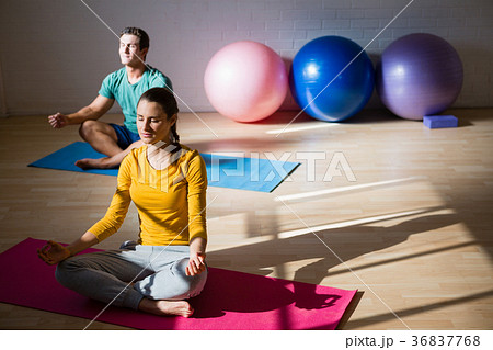 People meditating in lotus position health club 36837768