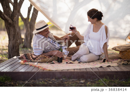 Happy couple toasting wine in cottage Happy couple toasting wine in cottage 36838414