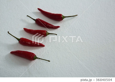 Red chili arranged in a row 36840504