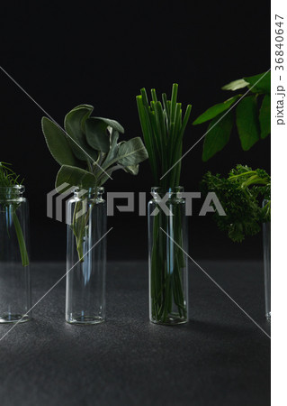 Various herbs in bottle 36840647
