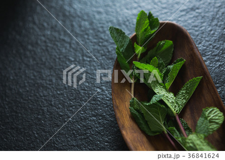 Basil herb in wooden bowl Basil herb in wooden bowl 36841624