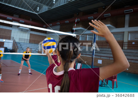 Female players playing volleyball in the court Female players playing volleyball in the court 36842688