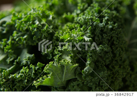 Close-up of fresh kale 36842917
