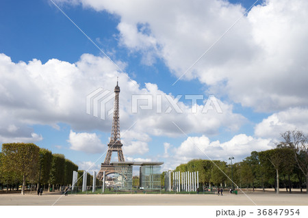 シャン・ド・マルス公園とエッフェル塔のイメージ シャン・ド・マルス公園とエッフェル塔のイメージ 36847954