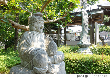 恵比寿 36848646