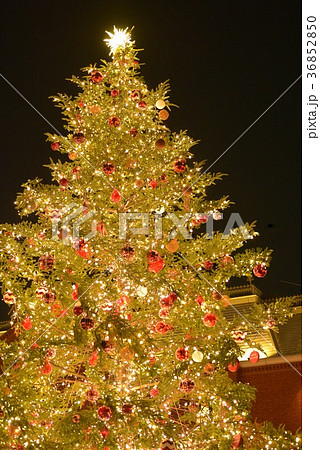 綺麗なクリスマスツリーの写真素材