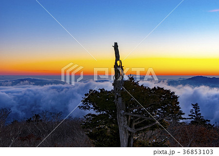 風景 空 雲海 36853103