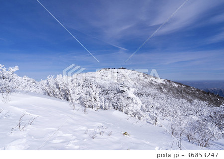 冬 空 山 36853247