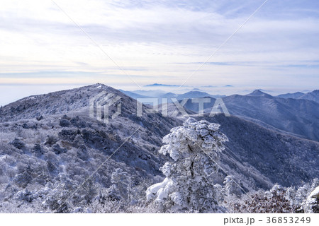 冬 空 山 36853249