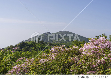 韓国 屋外 室外 36853612