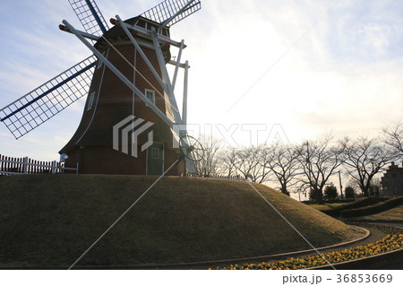 大胡ぐりーんふらわー牧場 大胡ぐりーんふらわー牧場 36853669