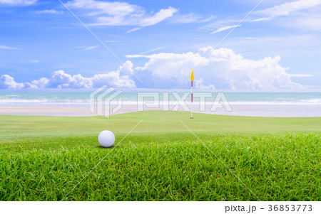 golf ball on green golf ball on green 36853773