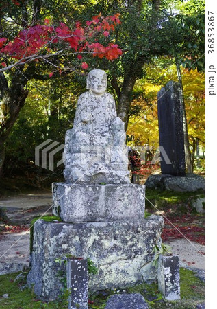 吉備路井山宝福寺の紅葉(縦位置） 36853867