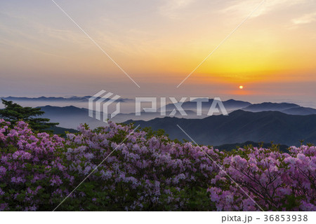 韓国 空 屋外 36853938