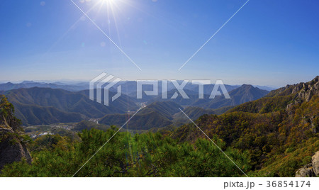 韓国 木 空 36854174