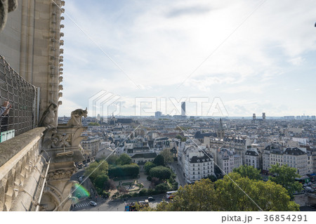 ノートルダム大聖堂のガーゴイルとパリ市街の風景 ノートルダム大聖堂のガーゴイルとパリ市街の風景 36854291