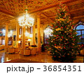 クリスマスツリー 36854351