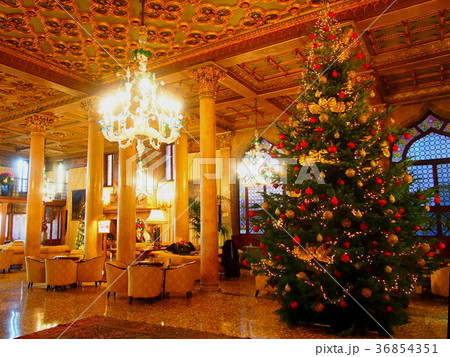 クリスマスツリー クリスマスツリー 36854351
