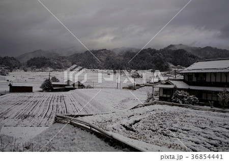 農村風景　初雪　里山　田んぼ　 36854441