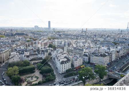 ノートルダム大聖堂から見るパリ市街の風景 ノートルダム大聖堂から見るパリ市街の風景 36854836