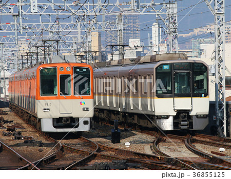 阪神電車と近鉄電車の並びの写真素材