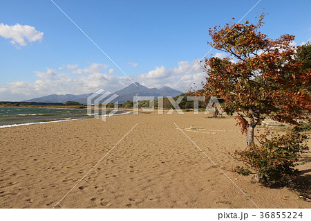 志田浜からの磐梯山と猪苗代湖 36855224