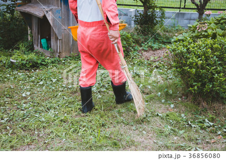 farm farm 36856080