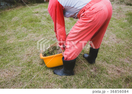 farm farm 36856084