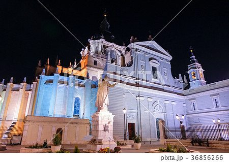 マドリード アルムデナ大聖堂 夜景 36856266