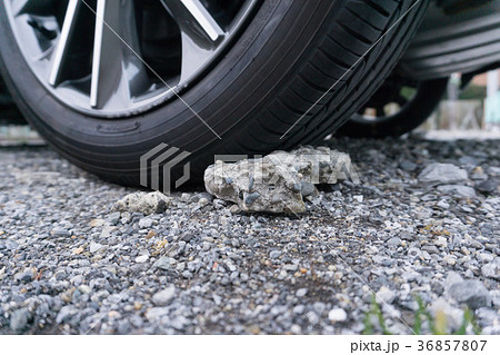 タイヤ止め 車止め タイヤ止め 車止め 36857807