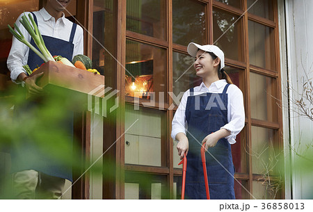 カフェ　準備をするスタッフ　野菜の仕入れ 36858013