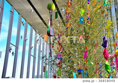 茅野市民館　七夕イベント 36858049